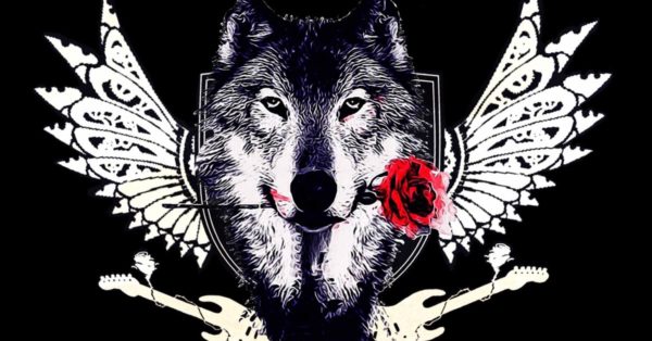 Tom Petty Tribute Band