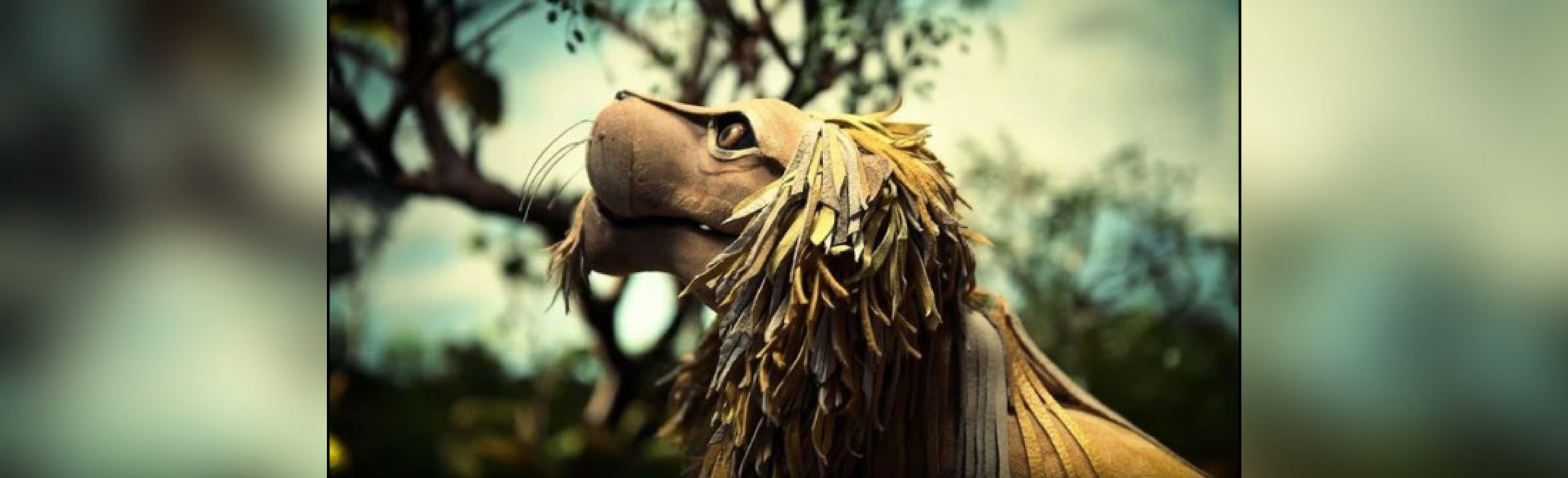 Neko Case Reveals Official Video for “Last Lion of Albion” Image
