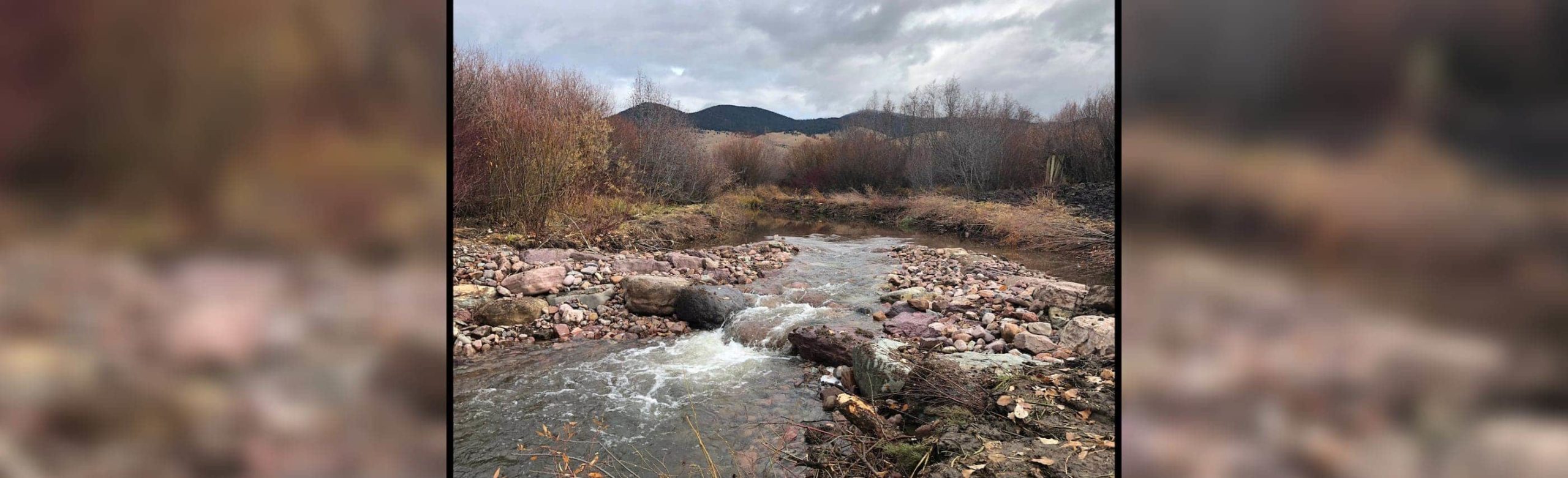 Blackfoot River Fund Update: MTU Launches First Project Image