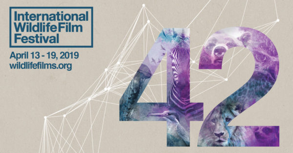 2019 IWFF Awards Ceremony &#038; Film Screening