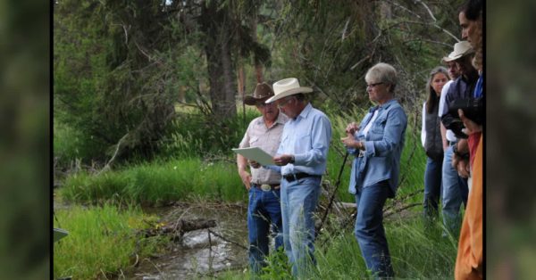 Blackfoot River Fund Update: Local Ranchers Benefit from Montana Trout Unlimited Efforts