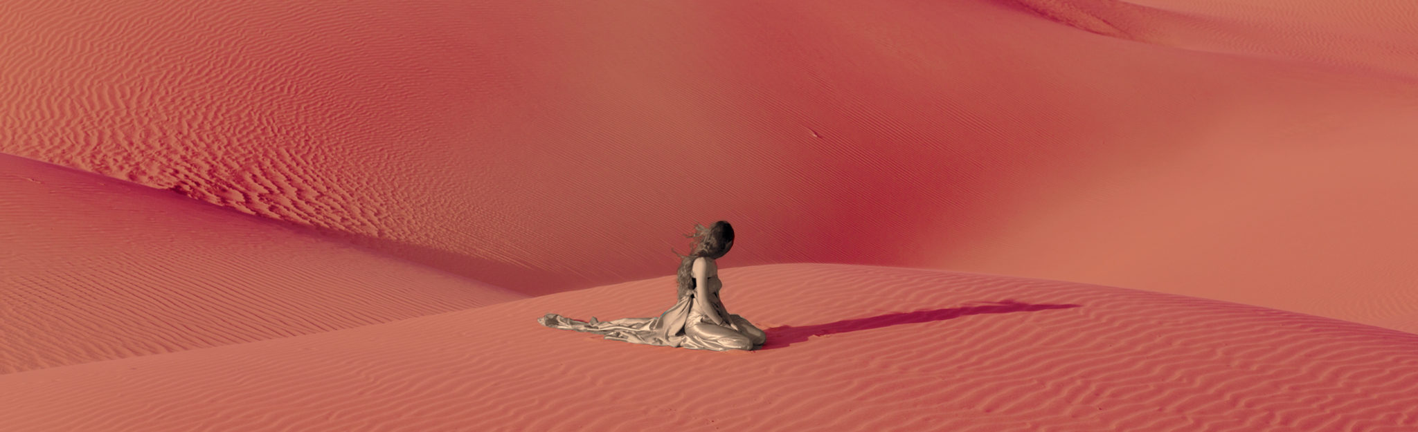 Big Wild Logjam Presents