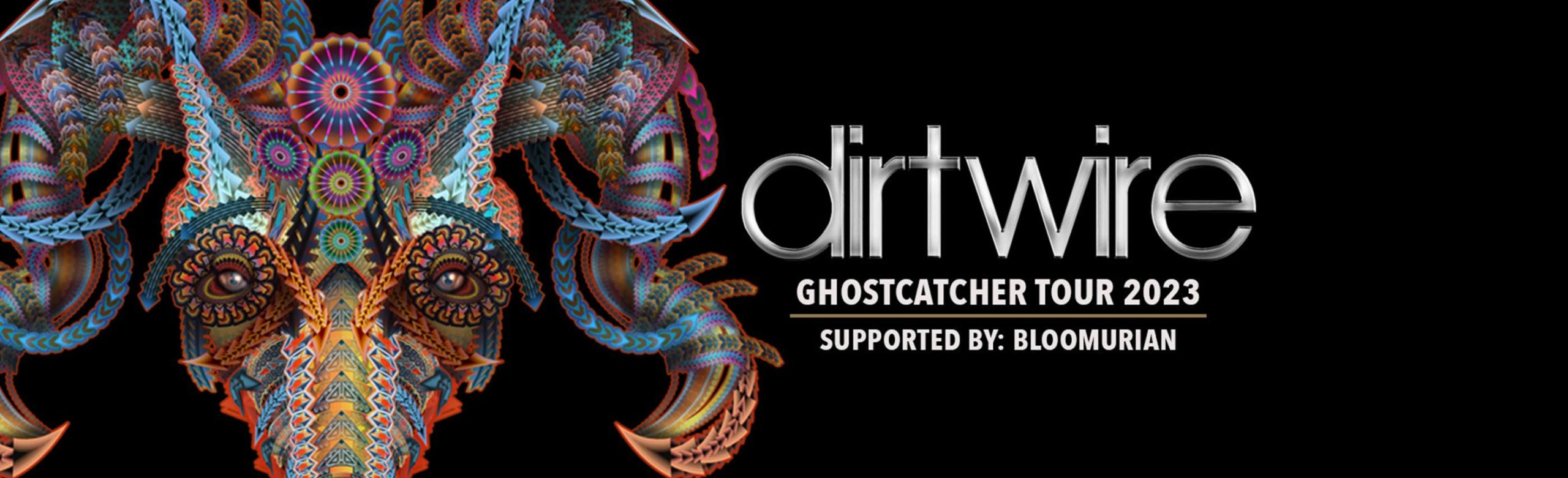 Win Tickets to Dirtwire in Montana at The Top Hat or The ELM Image