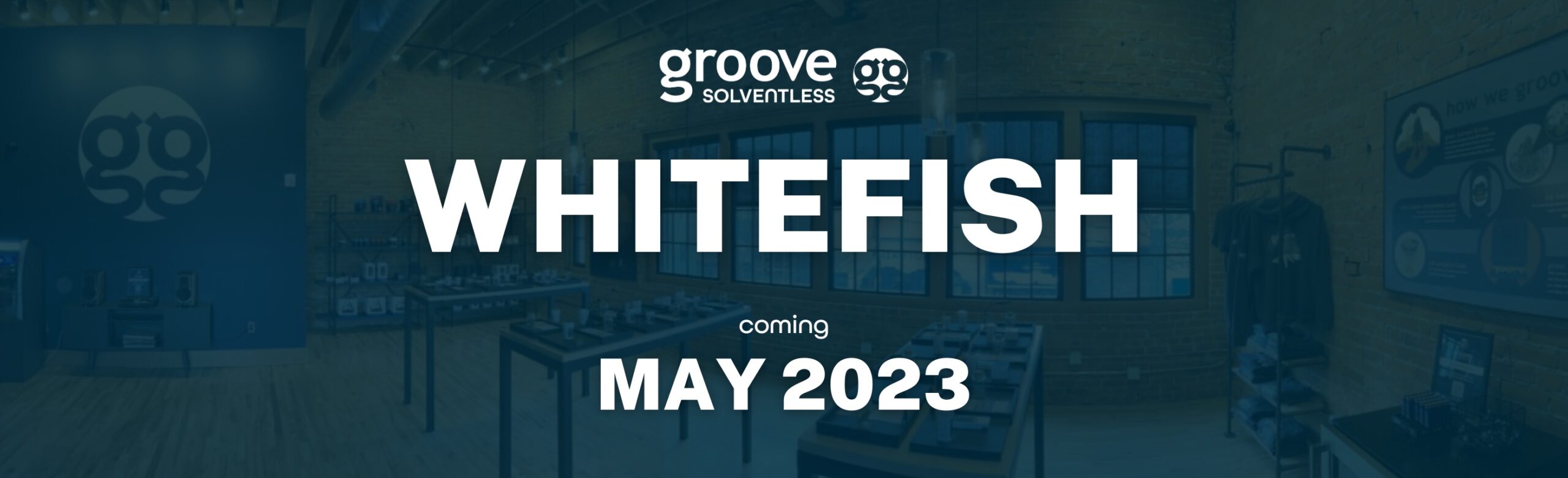 Whitefish Get Ready! Groove Solventless Showroom Coming Soon Image