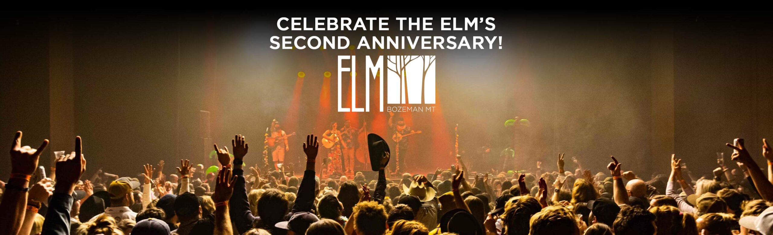 Celebrate The ELM’s 2nd Anniversary with Us! Image