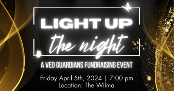 Light Up the Night with VEO Guardians