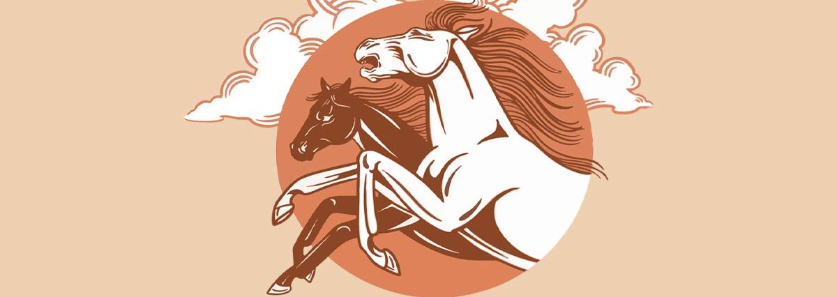 The Last Revel at The Elm