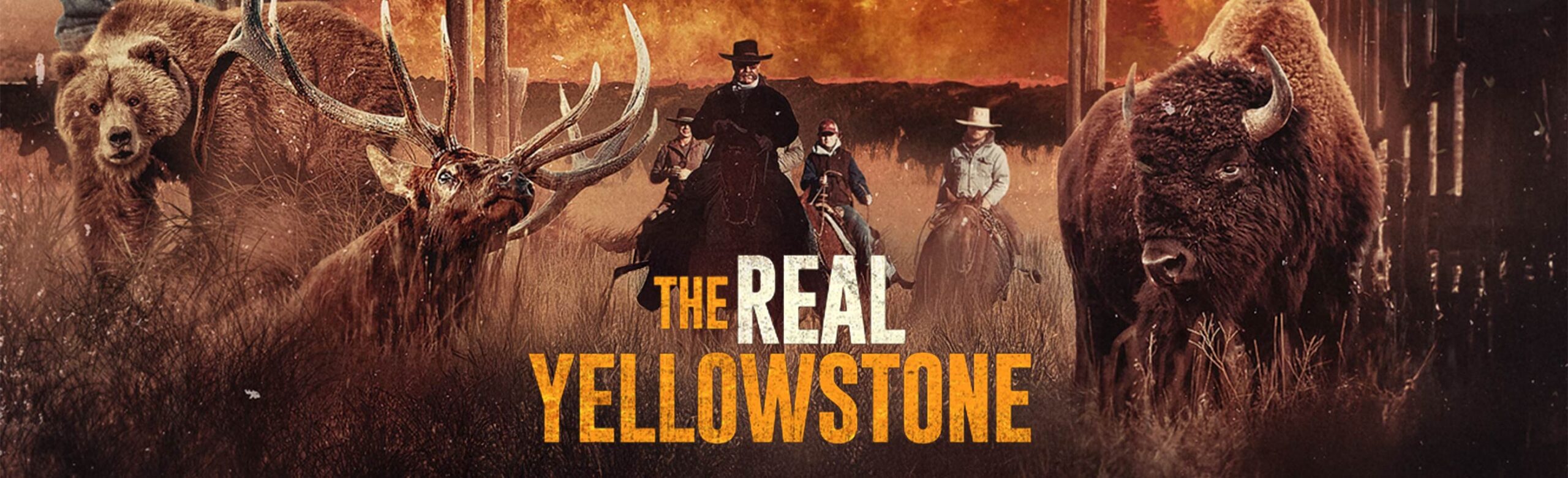 Missoula Premiere Screening of The Real Yellowstone