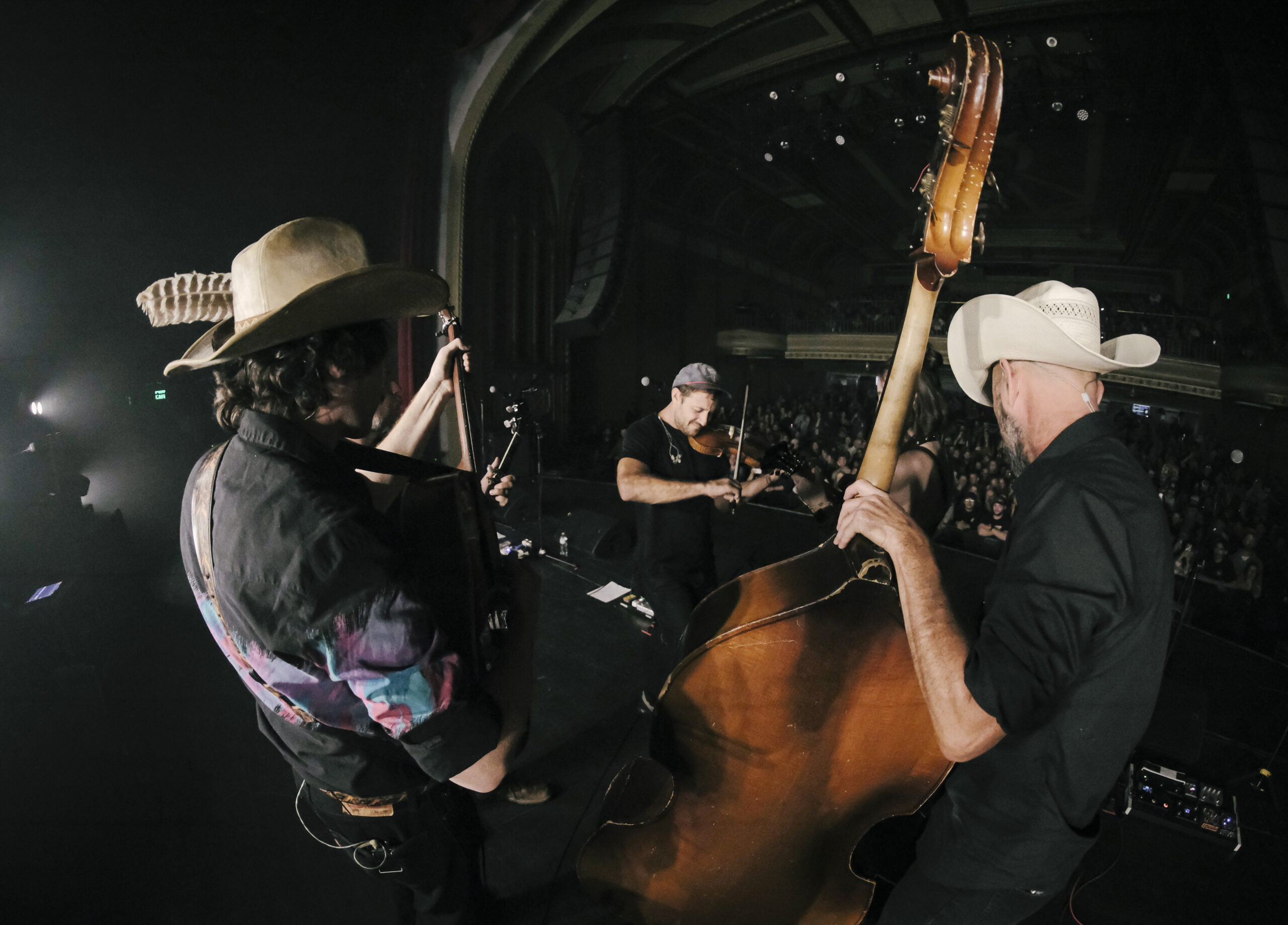 BroComatoseWilma-105