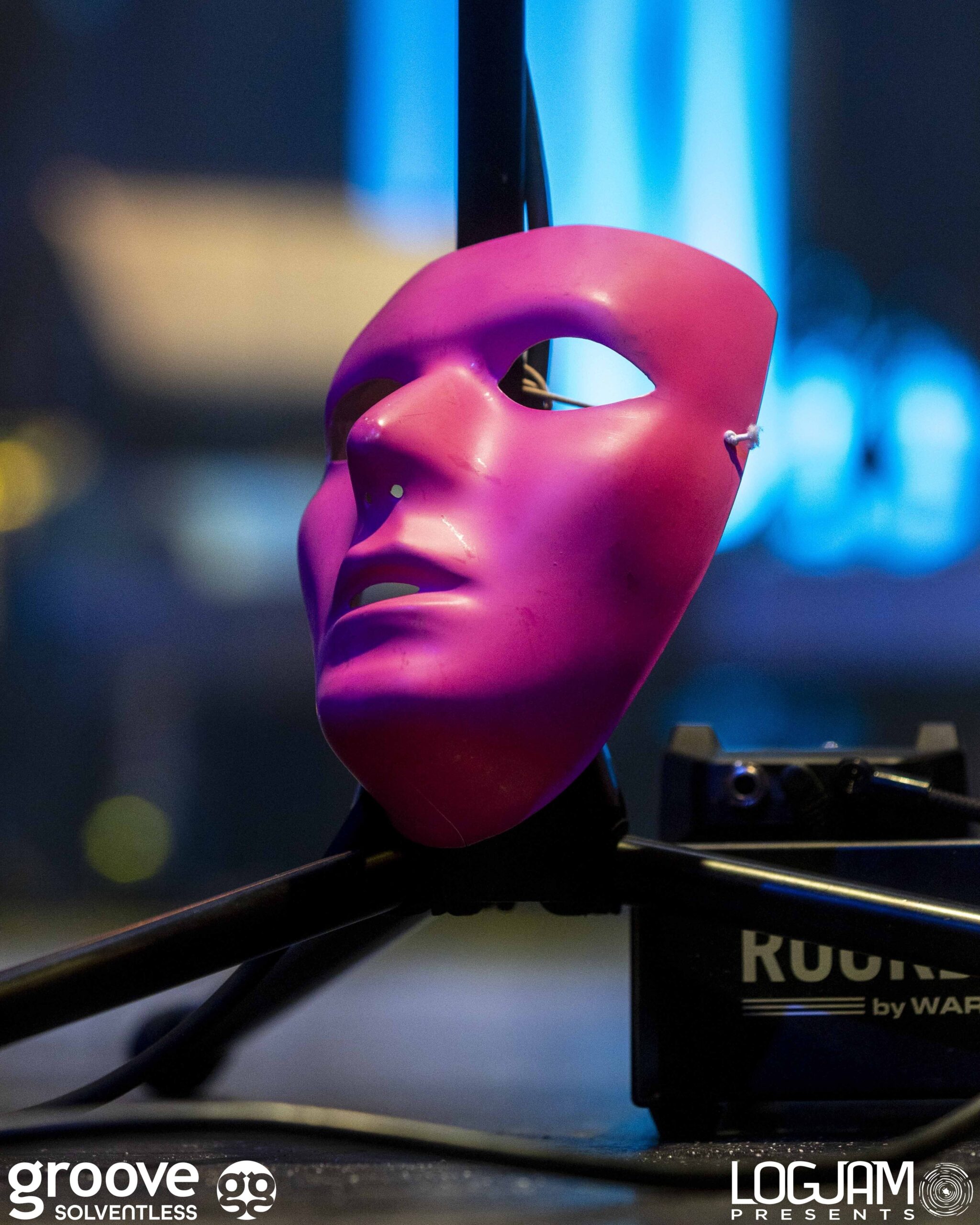 20251129_pinky-elm_0746_mb