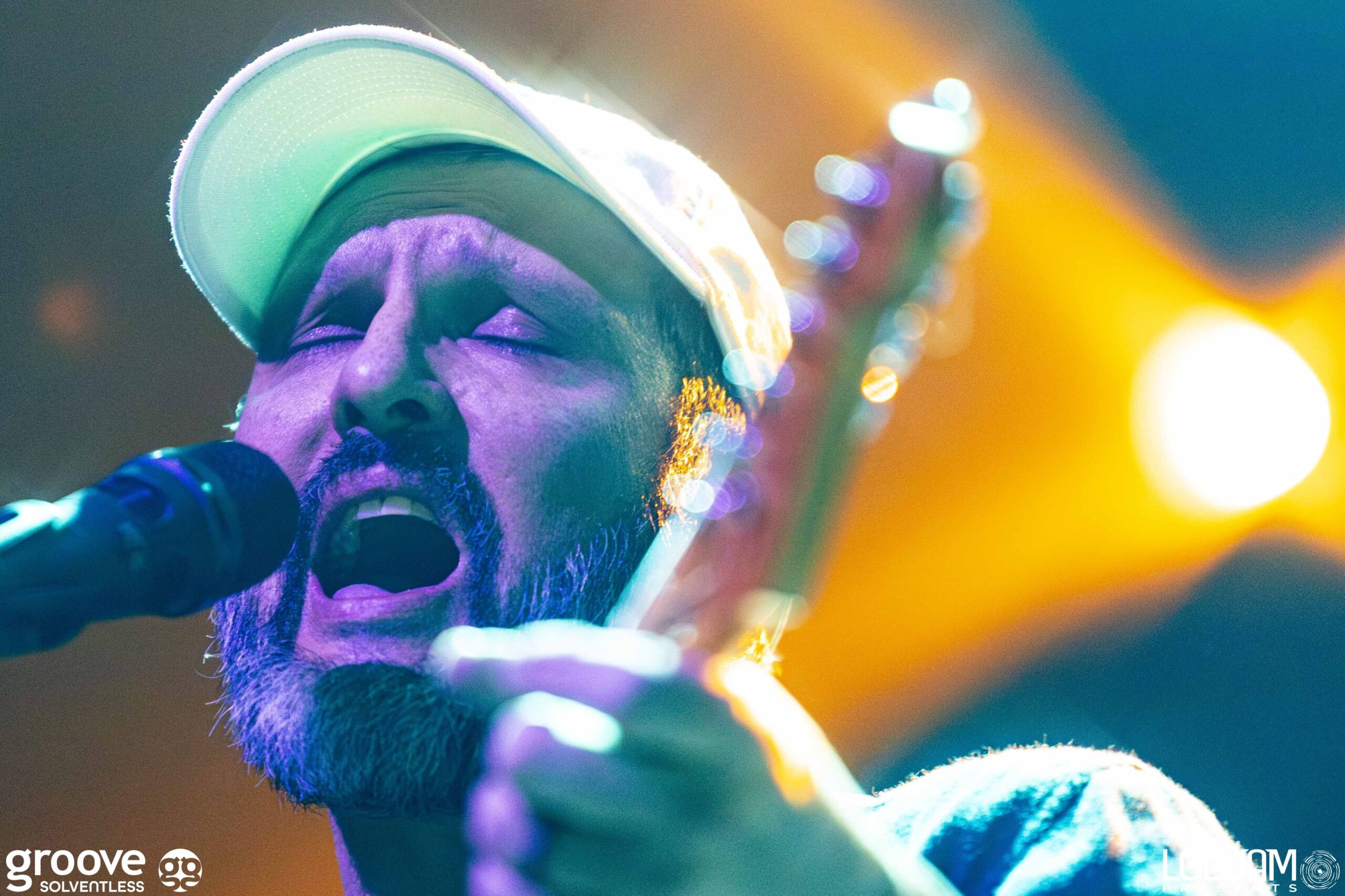 20251129_pinky-elm_0803_mb