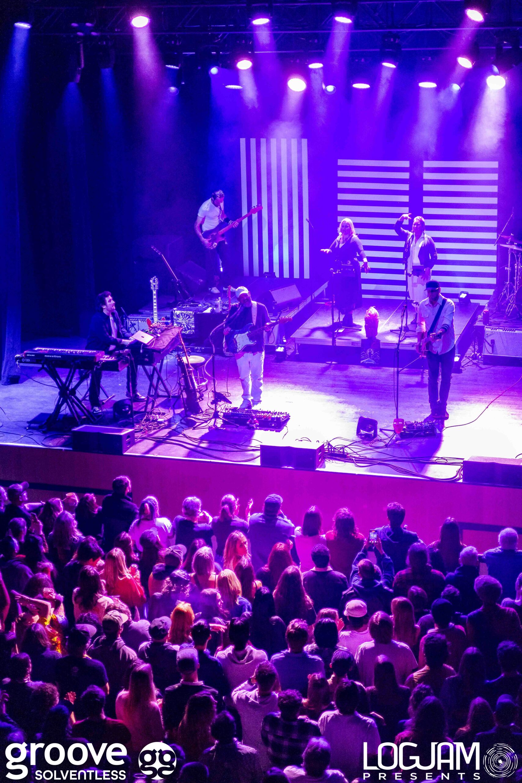 20251129_pinky-elm_1169_mb