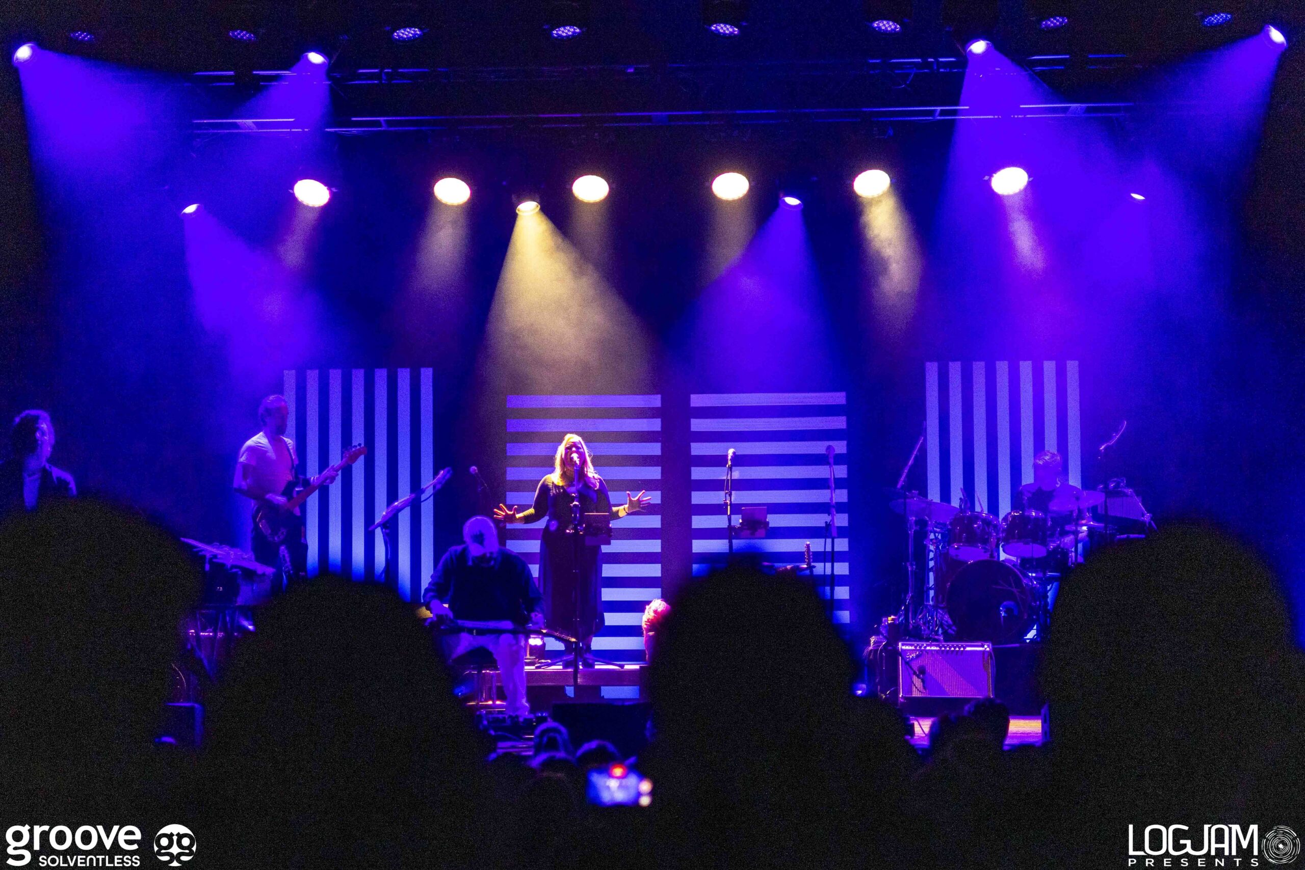 20251129_pinky-elm_1222_mb