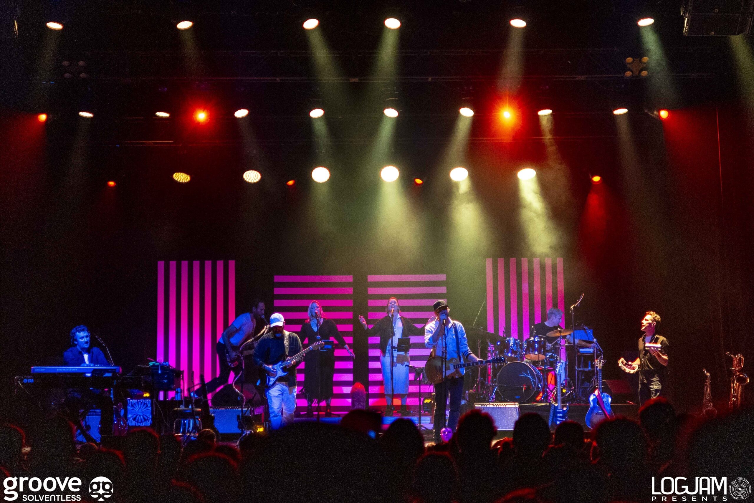 20251129_pinky-elm_1269_mb