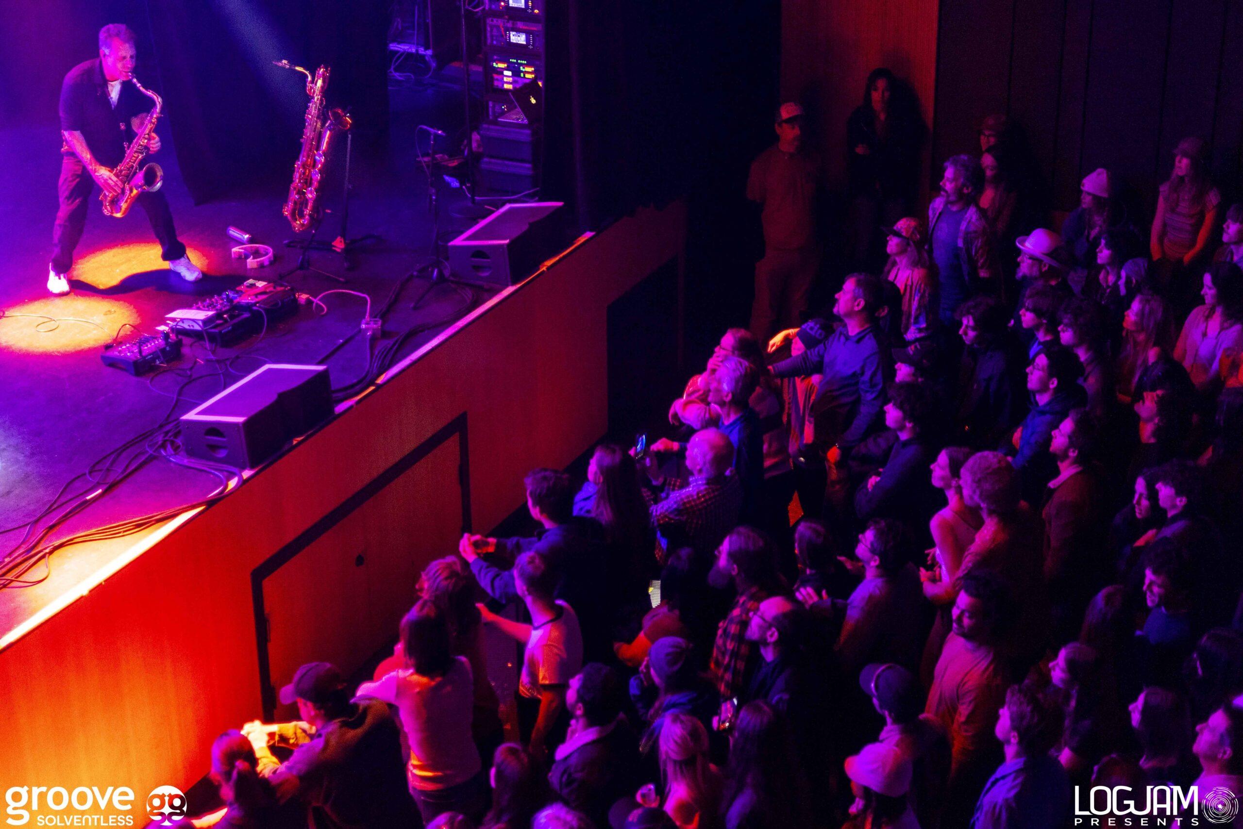 20251129_pinky-elm_1695_mb