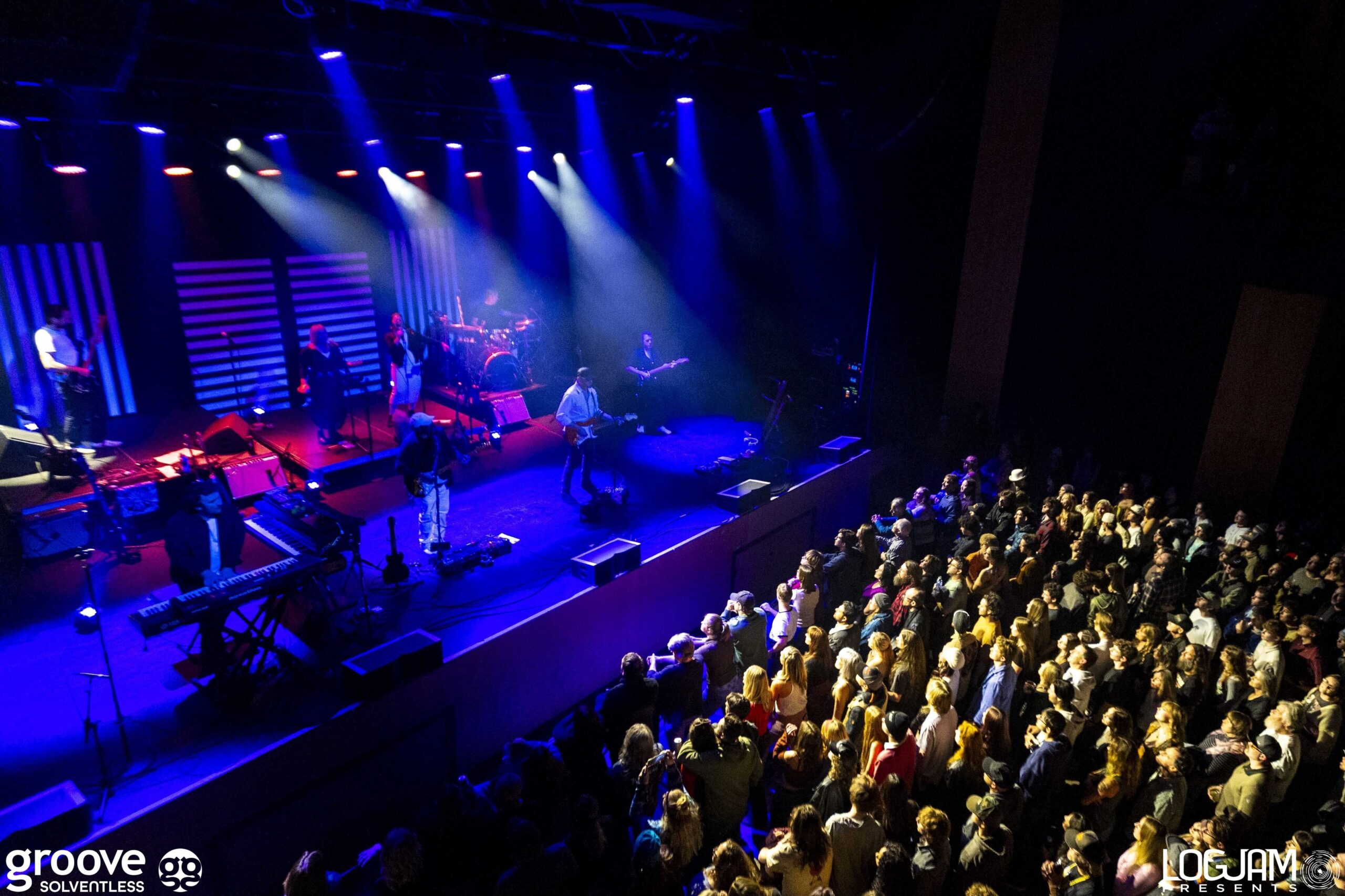 20251129_pinky-elm_1834_mb