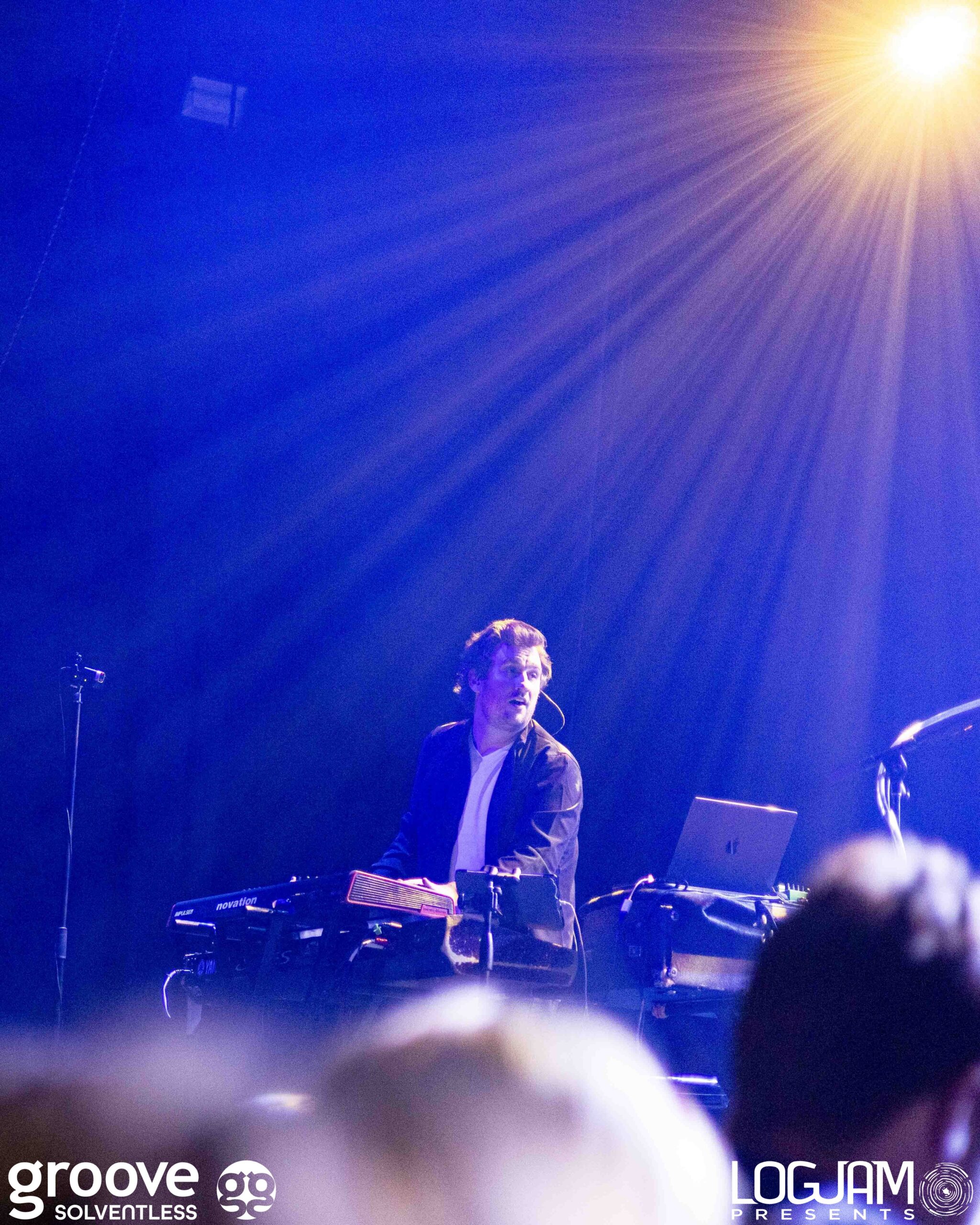 20251129_pinky-elm_2006_mb