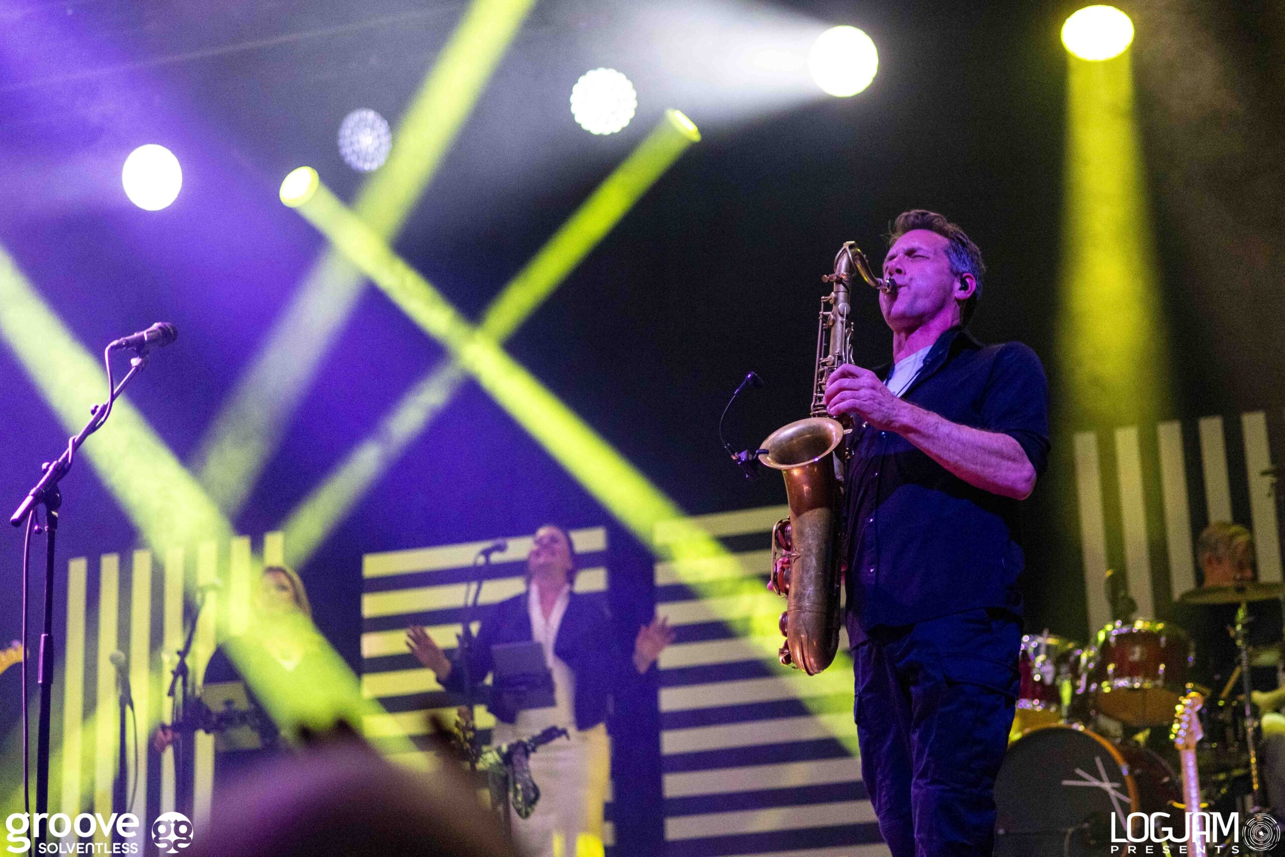 20251129_pinky-elm_2066_mb