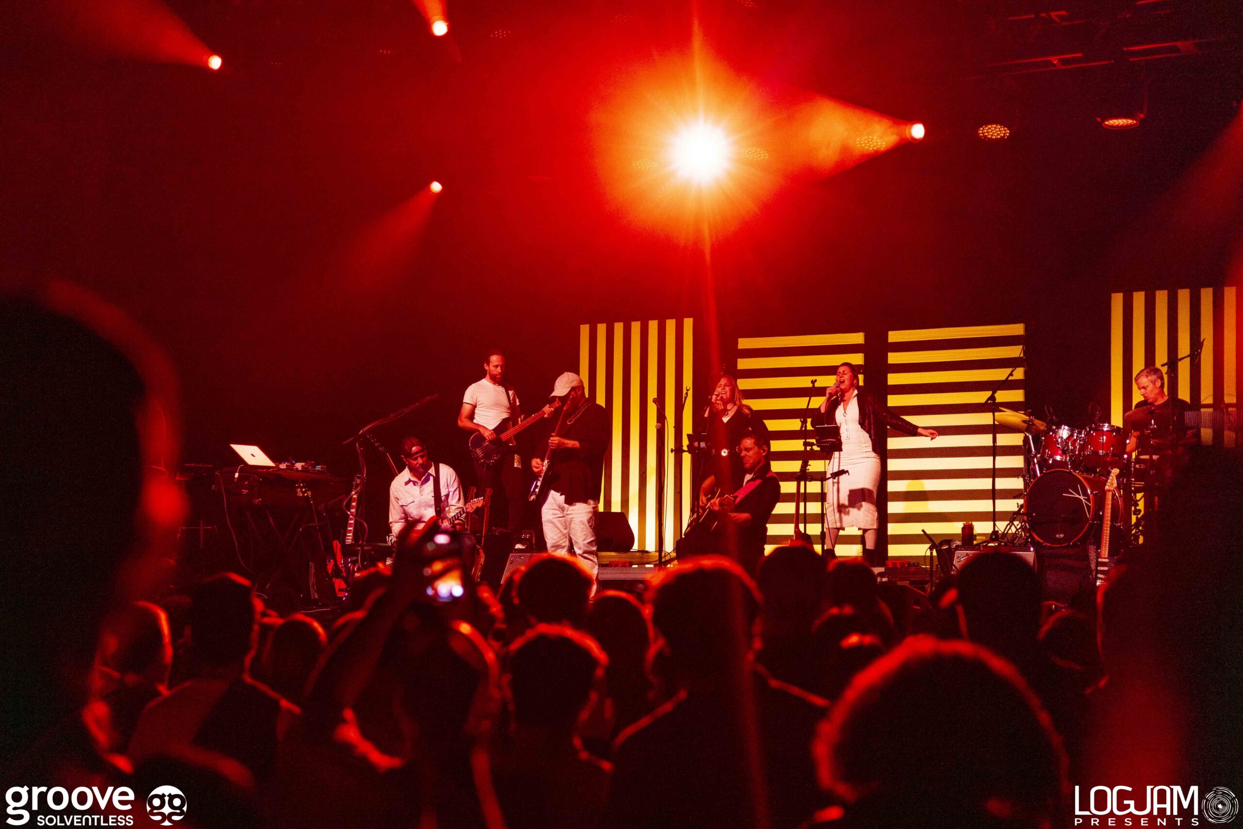 20251129_pinky-elm_2514_mb