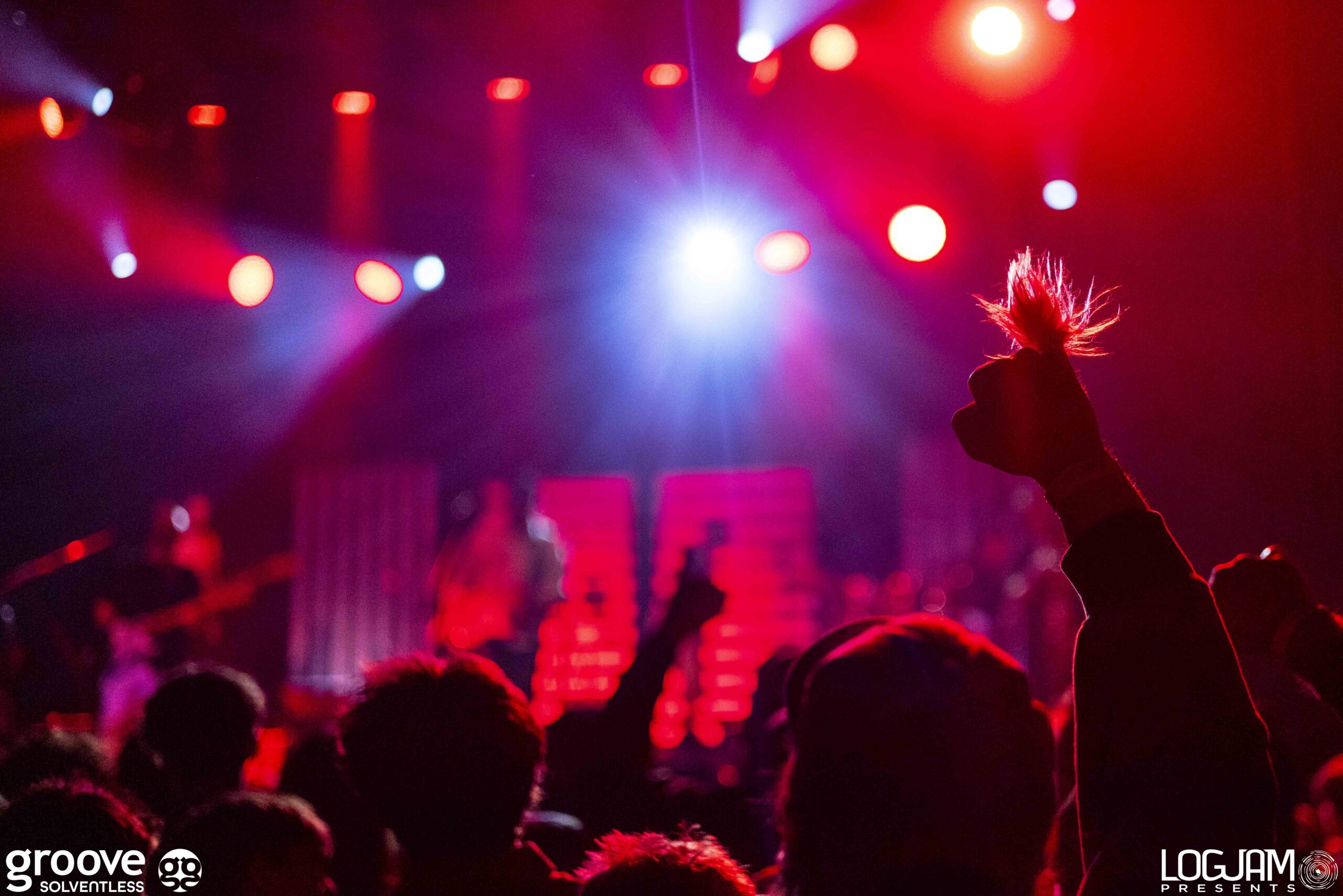 20251129_pinky-elm_2684_mb