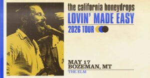 California honeydrops at the elm