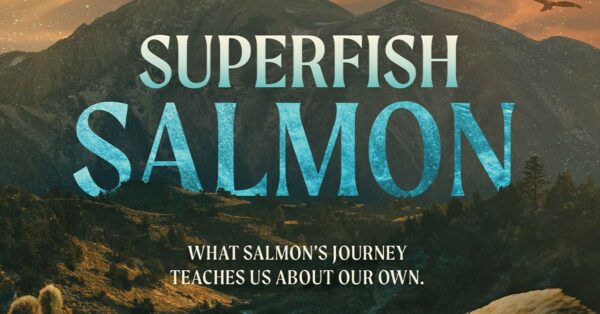 Superfish:Salmon Film