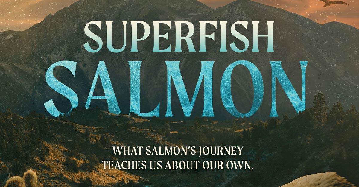 Superfish:Salmon Film - Apr 17
