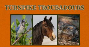 Turnpike Troubadours at kettlehouse amphitheater