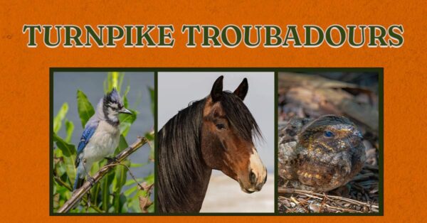 Turnpike Troubadours