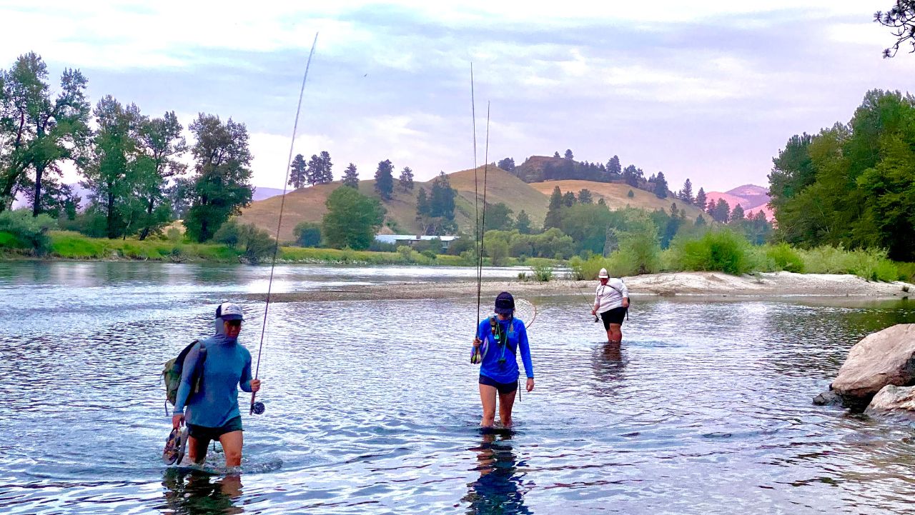 https://logjampresents.com/wp-content/uploads/2026/05/Montana-Trout-Unlimited.jpg