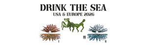 Drink The Sea at the ELM