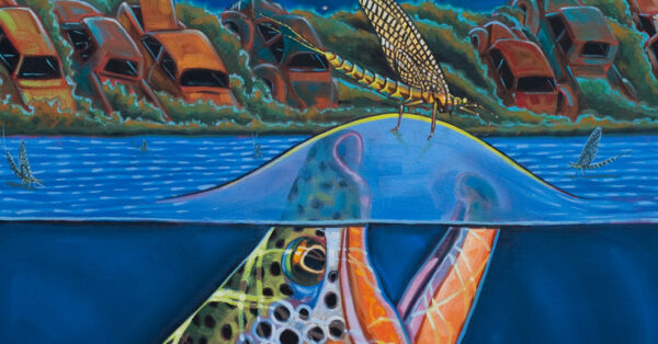 Montana Fishing Film Festival