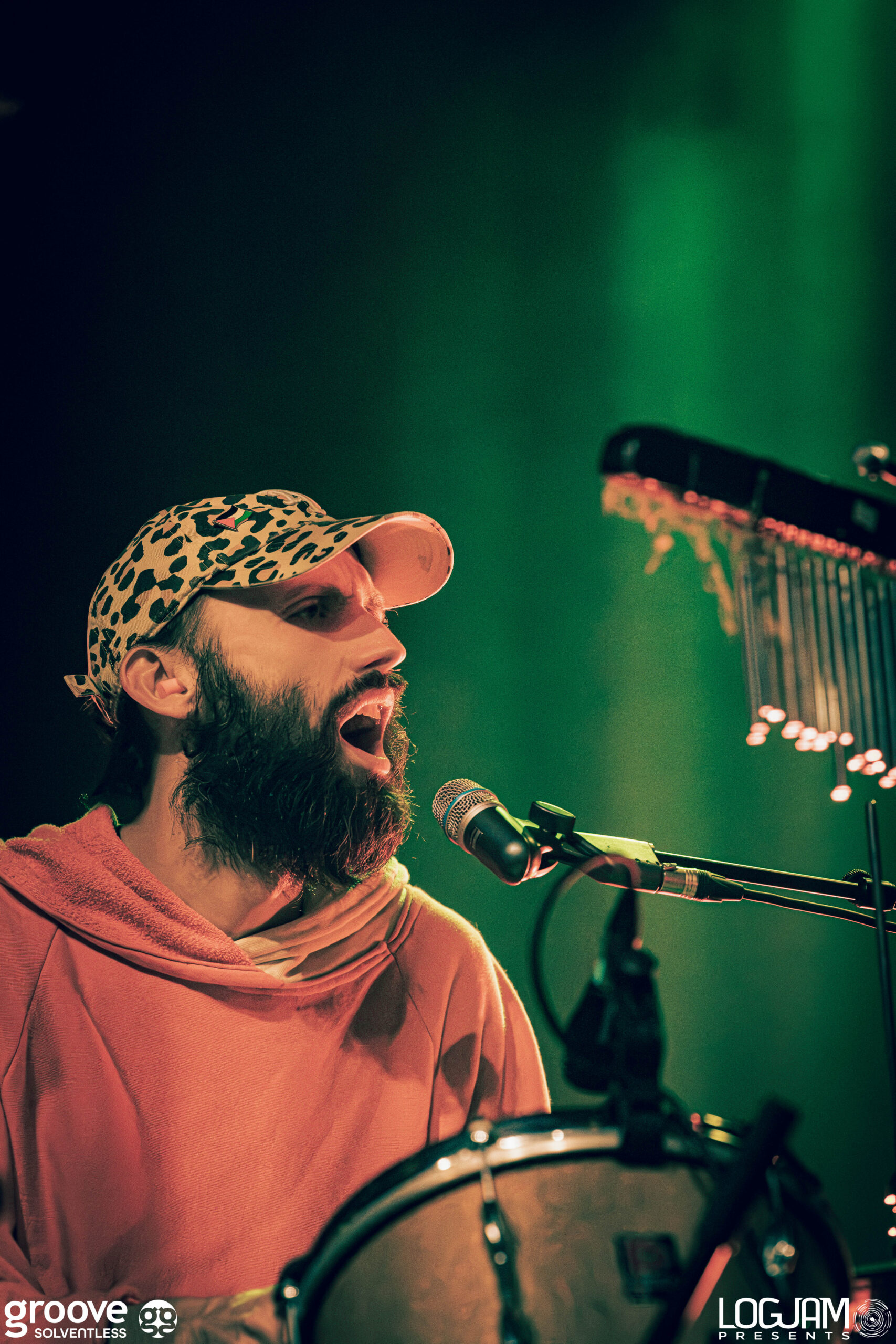 Big_Thief_Logjam-24